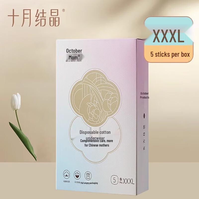 October Crystal Disposable Maternity Panties 2 Packs