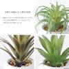 Faux Greenery Mini Potted Air Plant Set and Perfect for Home Perfect for Tabletop Perfect as a (3 Pieces) - Bromeliad, Agave, More. Stylish, Decor.