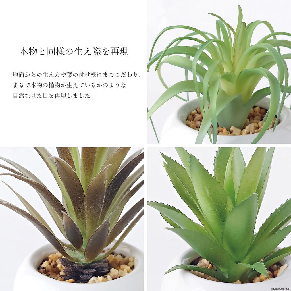 Faux Greenery Mini Potted Air Plant Set and Perfect for Home Perfect for Tabletop Perfect as a (3 Pieces) - Bromeliad, Agave, More. Stylish, Decor.