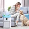 Air Purifier Filter For Morento Hy4866 And Yiou M1 With Hepa Tech For Clean Indoor Air