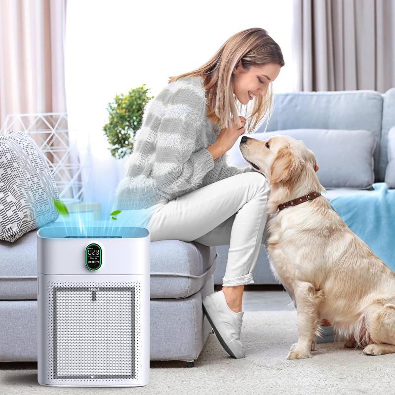 Air Purifier Filter For Morento Hy4866 And Yiou M1 With Hepa Tech For Clean Indoor Air
