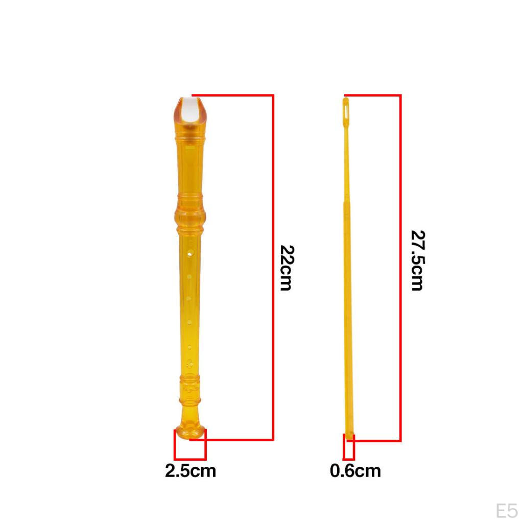 8 Hole Soprano Descent Flute with Cleaning