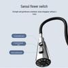 Kitchen Faucet with Pull-Out Sprayer