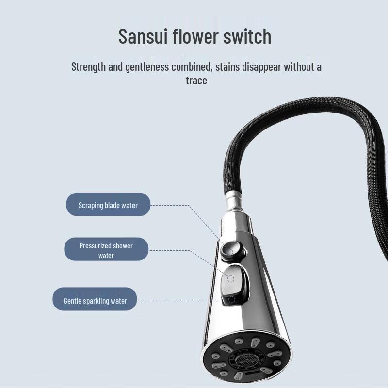 Kitchen Faucet with Pull-Out Sprayer