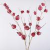 Faux Artificial Pomegranate Branches Plastic Realistic Simulation Pomegranate Fruit Elegant Bonsai Fake Flowers