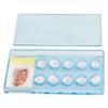 10pcs 2mm Dental Tooth Crystal Ornaments Teeth Jewelry Decoration White W  Box