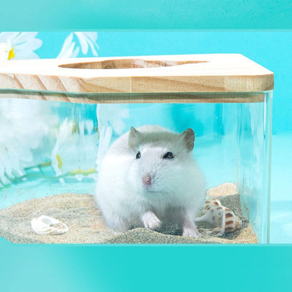 Transparent Hamster Bathtub Star Moon Shape Anti-leak Hamster Sand Bath Box with Cover Golden Bear Bath Toilet