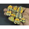 Natural Bumble Bee Jasper Matched Pair Fancy Cabochon Gemstone 09 Pair Lot C-3517