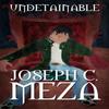 Undetainable by Joseph C Meza Paperback Book 9781469187143