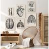 Opera de artă anatomie umană Imagine de perete medicală schelet muscular poster vintage imprimare pânză nordică pictură educațională decor modern