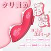 Ahtucoi Klitorisvibrator mit Smartphone-Fernbedienung Geeignet für Klitoris-Fernbedienung Erwachsene Superweich USB 64 Pink Magnet, App, Steuerung, Anfänger, Orgasmus,