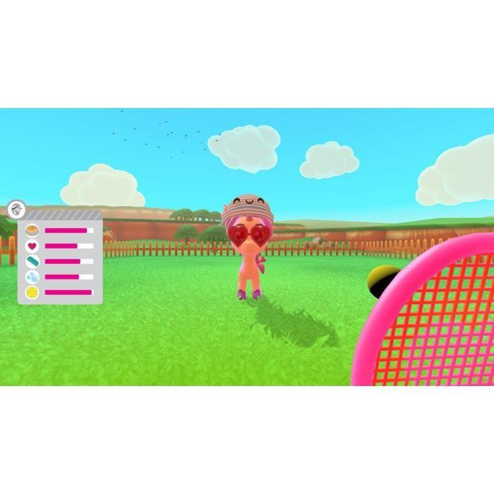Fantasy Friends Nintendo SWITC