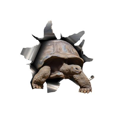 Autostickers voor Schildpad Verborgen in Gaten, Waterdichte Onregelmatig Vormgegeven Auto Decoratie Decals