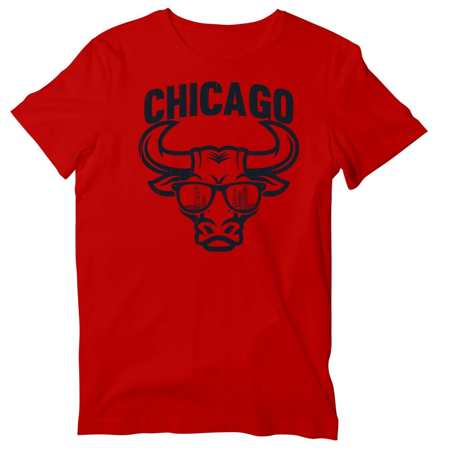 Cool Vintage Bull of Chicago T-Shirt, Distressed Chicago Skyline Basketball Tee S