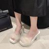 Fairy temperament thick heel sandals female summer 2025 summer new fairy wind transparent word heightening fluffy slippers female