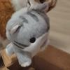 Cartoon Grey Cat Key Chain Soft Cute Pet Pendant Bag Charm Plush Doll Key Ring  Festival Gifts