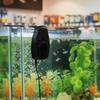 Energy Efficient Aquarium Chiller Fan Wall Mount Aquarium External Fan  Aquarium