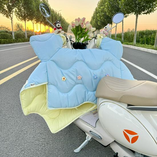 All-Season Electric Car Windshield Cover: Extra Large, Thick, Double-Sided & Waterproof with Side Wings
