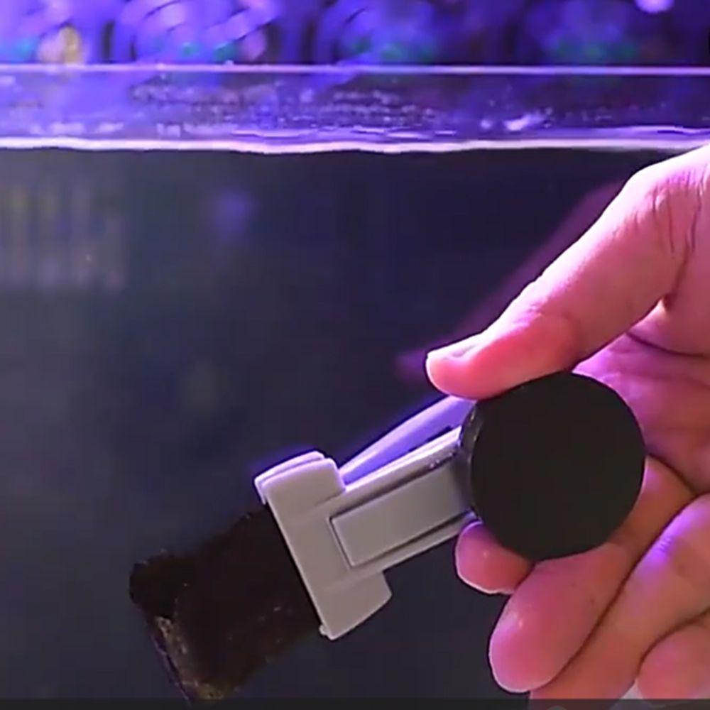Serviceable Fish Tank Feeding Clip Magnetic Aquarium Algae Feeding Clamp  Aquarium