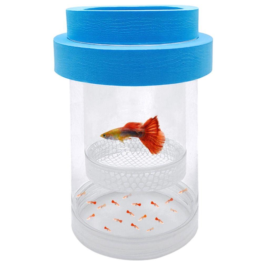Plastic Mesh Floating Fish Breeding Isolation Box Fish Hatchery Incubator Breeder Box Fish Tank