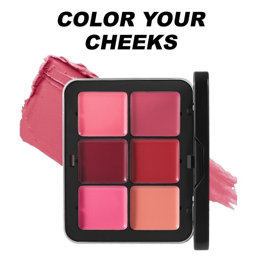 Natural Finish Makeup Palette 12 Colors Highlighter Palette For Professional Use