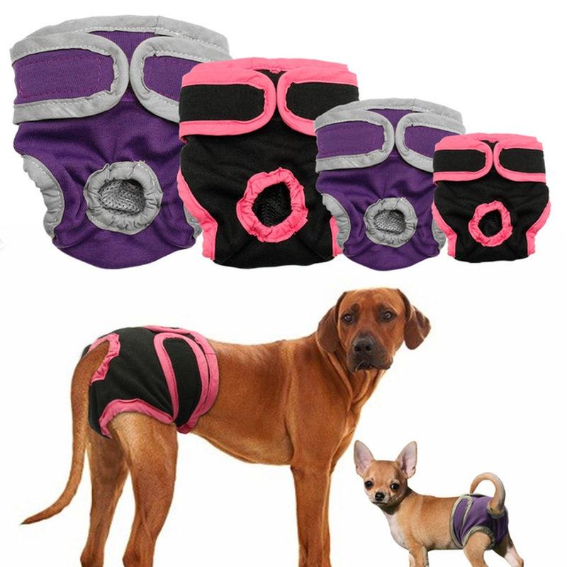 Hundeshorts für Hündinnen Welpen Physiologische Hosen Windel Haustierunterwäsche für Kleine Mittlere Mädchenhunde
