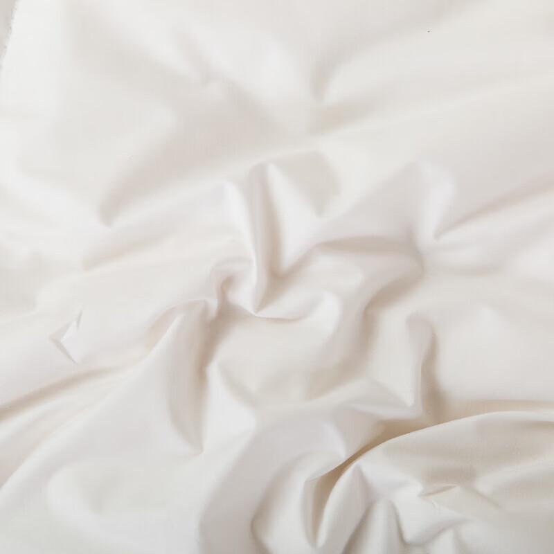 Shengfunu White Duck Down Winter Quilt