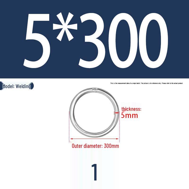 304 Stainless Steel Seamless O-Ring for Lifting and Hammock Yoga Connection