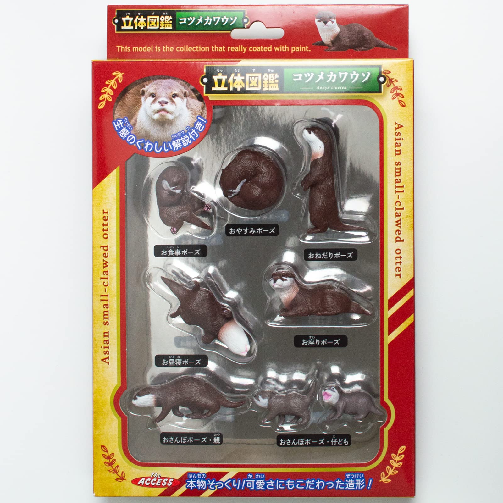 

The Access Figure Otter 3D Picture Book Animal Aquarium Toy