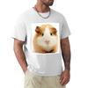 Guinea Pig Cavy Collection Model 27 Tshirt T Shirt Custom Print Tshirt
