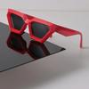 Vintage Sunglasses Women Men Cat Eye Mirror Clear Fashion Eyewear Sexy Designer Brand Black Sun Glasses for Female Male
