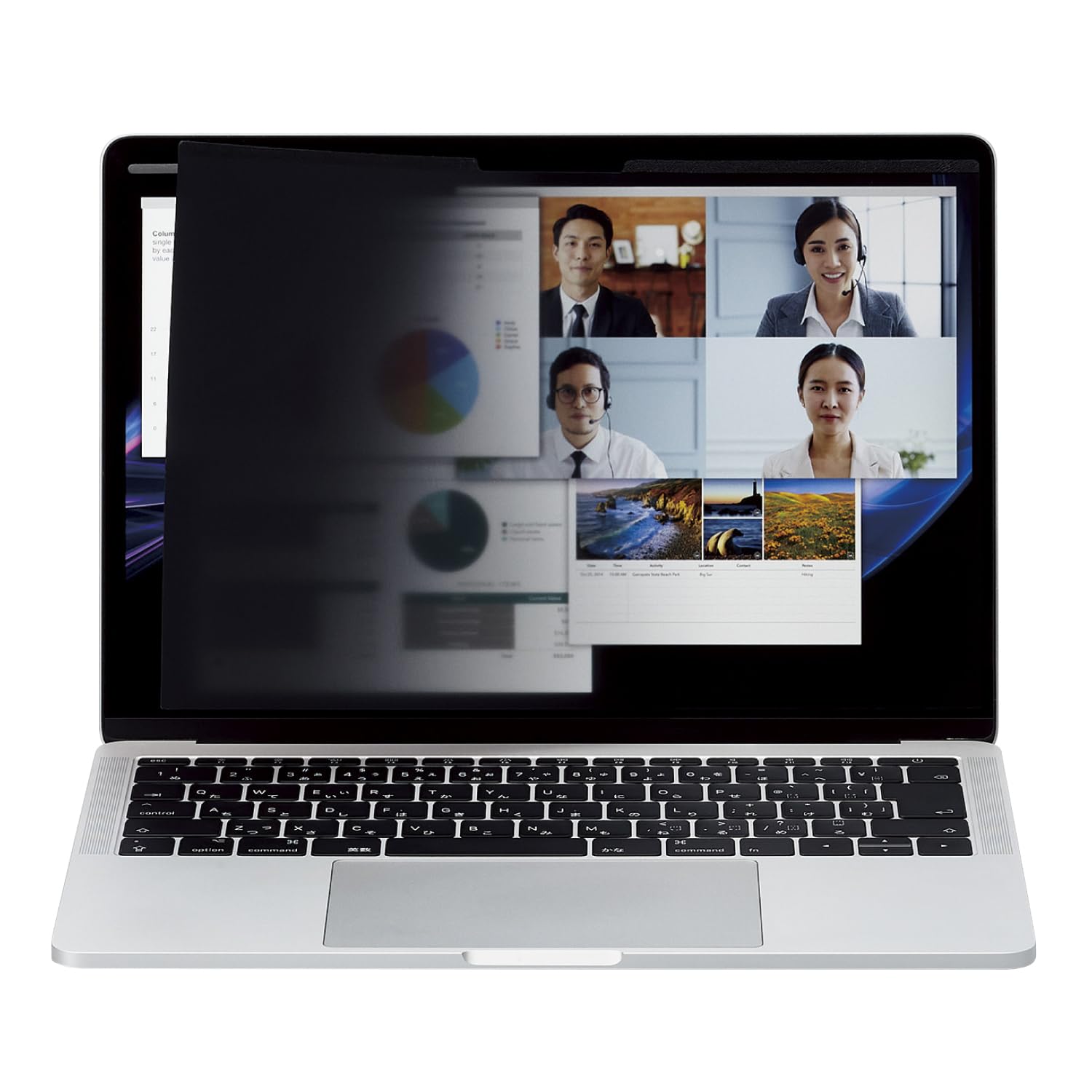 

Elecom Защита ЖК-дисплея магнитная 16 Вт дюймовый фильтр синего света, анти-подглядывание, тип, (1610), разрез, EF-PFMK16W10