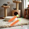2Pcs Carrot Shapes Cat Rope Toys with Sounding Parcels Interactive Cat Toys for Indoor Cats and Kittens for Biting Chewing