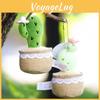 Potted Cactus Cute Plant With Lace Decoration Succulent Plush Toy Pendant