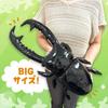 Ultra-realistic Caucasian Stag Beetle vs. Giraffe Stag Beetle Plush Toy Approx. 60cm (Caucasian Stag Beetle)