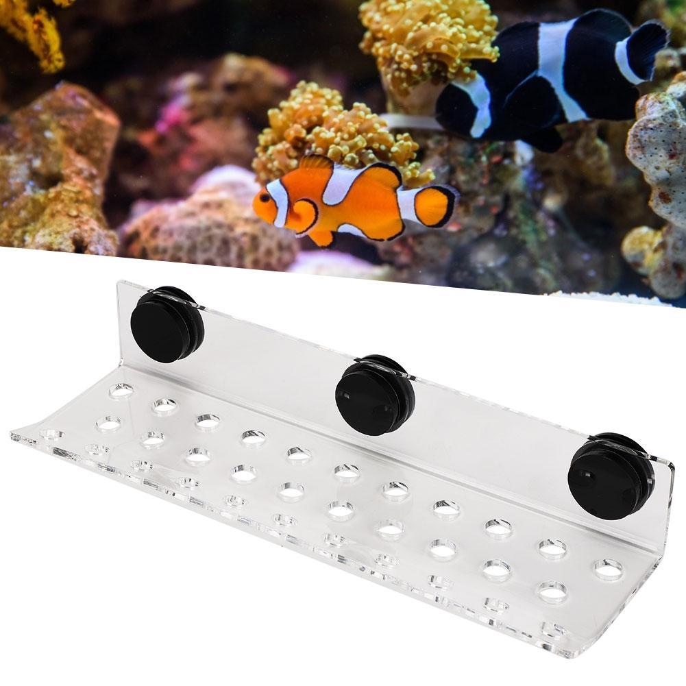 Aquarium Meerwasser Korallen Racks Halterung Halter Fischtank Knopfframe Verbesserter Saugfuß 32 Löcher