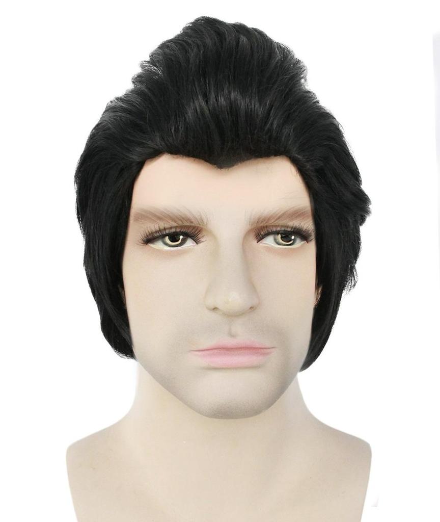 Carnival wig, ponytail style, handsome man