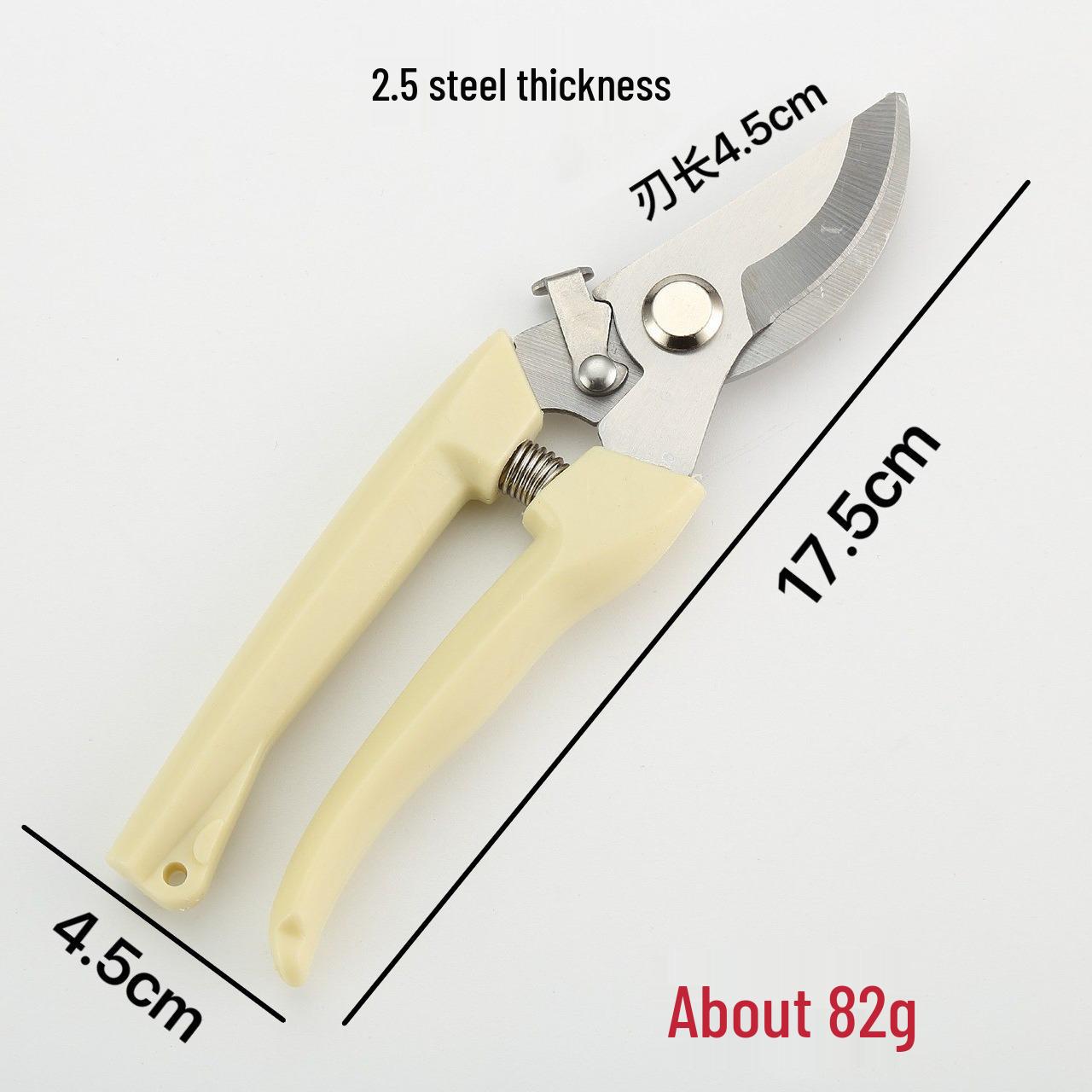 Stainless Steel Floral & Garden Shears - Straight & Bent Head Pruning Essentials