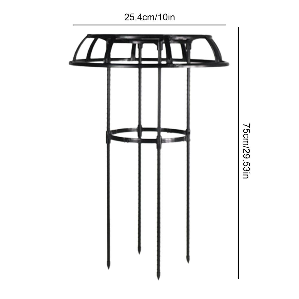 Цветочная шпалера для вьющихся растений Малиновая шпалера Зонтикообразная шпалера для розовых кустов Высокая опора для растений Свободностоящая садовая