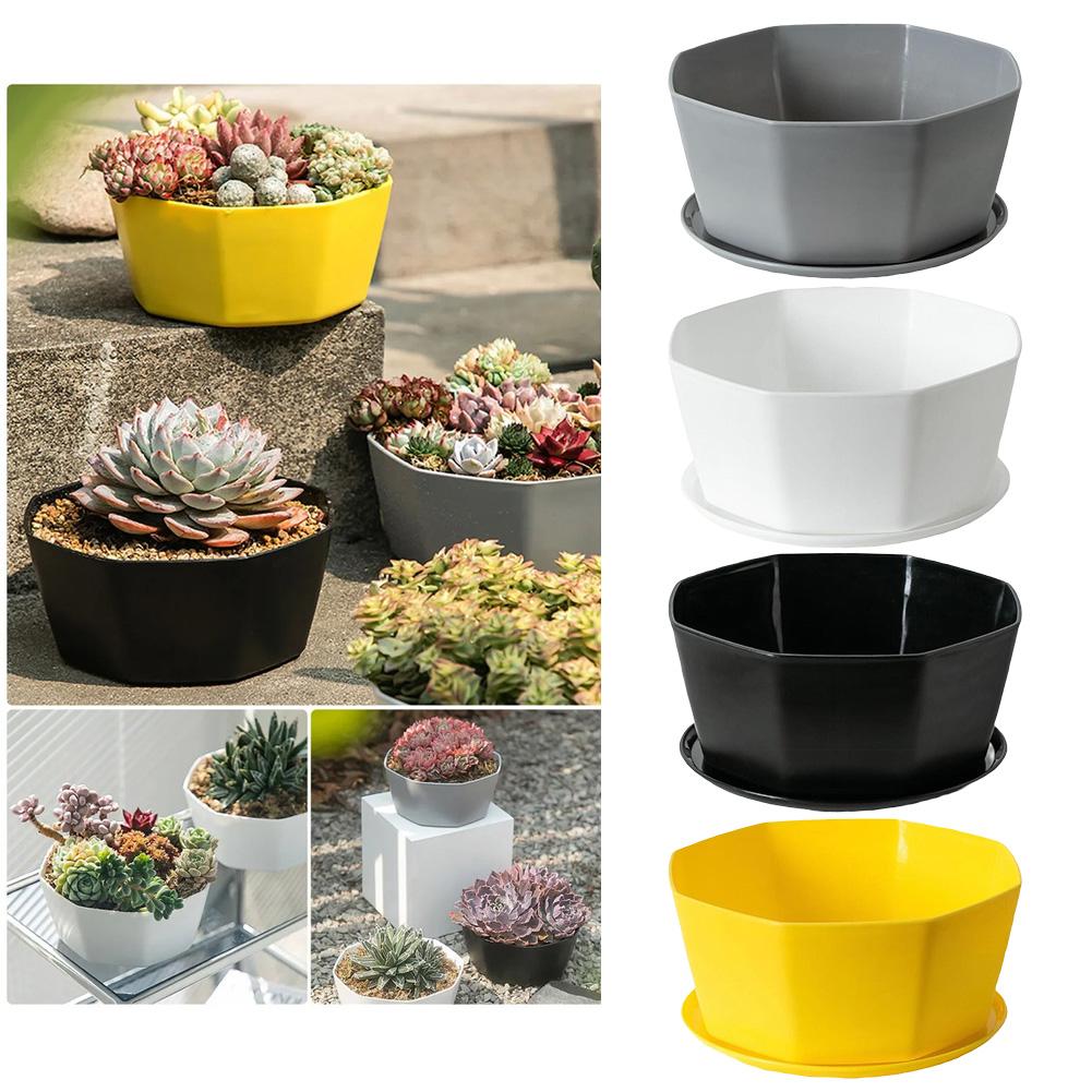 Artistic Design Flower Pots Plastic Flower Pots Succulent Planters
