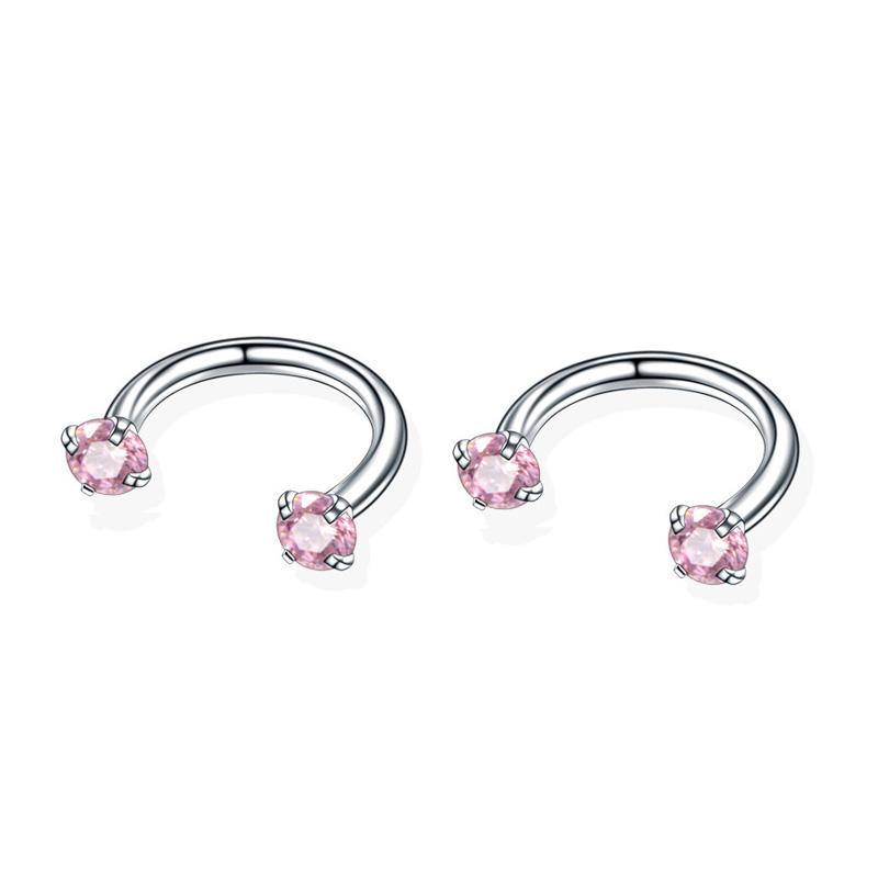 2Pcs 6/8/10/12mm Stainless Steel Zircon Piercings Earrings Horseshoe Ring Piercing Nose Ear Belly Rings Body Jewelry For Women