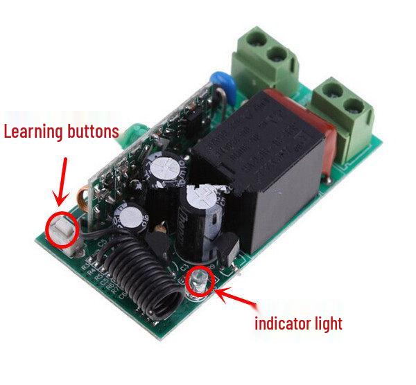 220V Wireless Controller & Buick 2-Button Remote Light Switch
