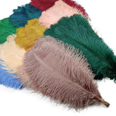 10 Pz/lotto Nuove Piume di Struzzo Colorate per l'Artigianato Bianco Nero Piuma Decor Centrotavola Gioielli Artigianato Decorazione