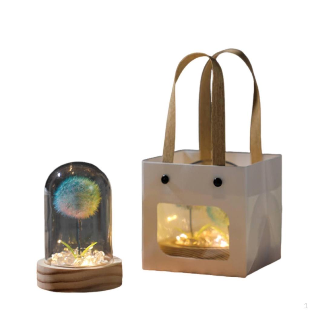 Puffball Crystal Ball Lamp Gift Idea Dome Decorative Decoration Glass Cover Night