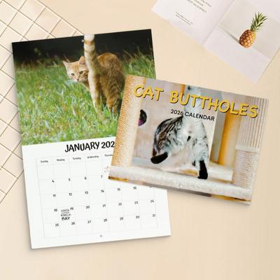 2026 Katt Röv Hål Kalender 2026 Rolig Katt 12 Månaders Väggkalender Jan till Dec Högupplöst Kattfotografi