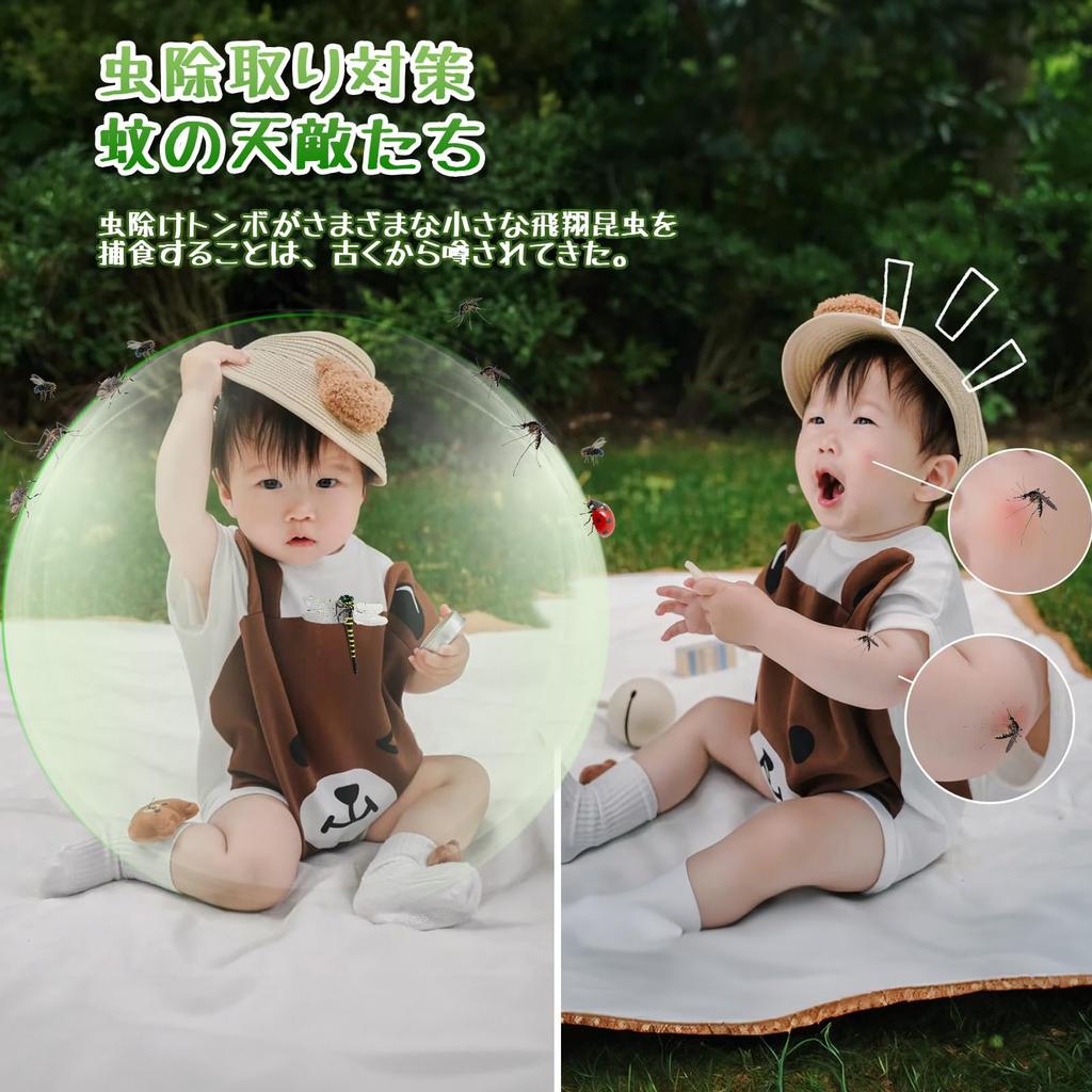 Authentic Dragonfly Insect Repellent, "Nearly the Same Size As the Real Thing," PVC Material, Repels Insects and Animals, Fishing, Home Decor,