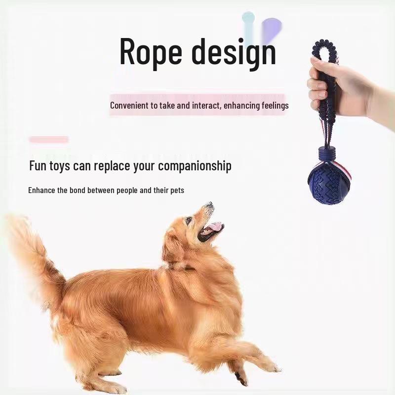 Large Breed Dog Training Ball with Rope – Interactive Toy for Malinois, Golden Retriever, German Shepherd