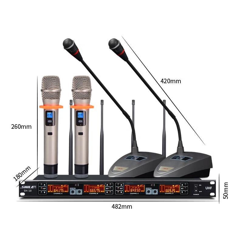 SHILE Professional 10-inch Conference & KTV Audio System with Wireless Microphones