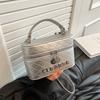 Premium Silver Bag Women's New Versatile Chain Messenger Bag Summer Portable Box Small Square Bag