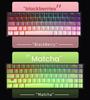 K61 Compact RGB Mechanical Keyboard - 61-Key Portable for Laptop & Office Gaming with Blue, Brown, Red Switch Options